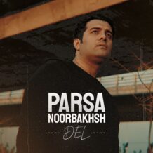 آهنگ جدید پارسا نوربخش به نام دل